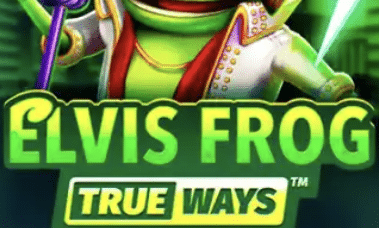 Playfina-casino-elvis-frog