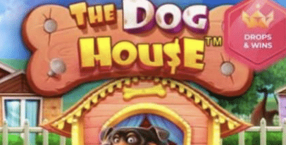 Dog House